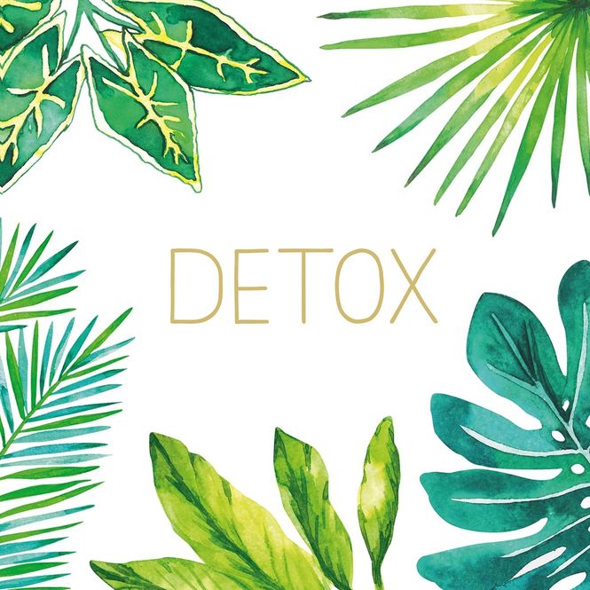 Hovedbilde Middagsservietter Detox fra PPD 